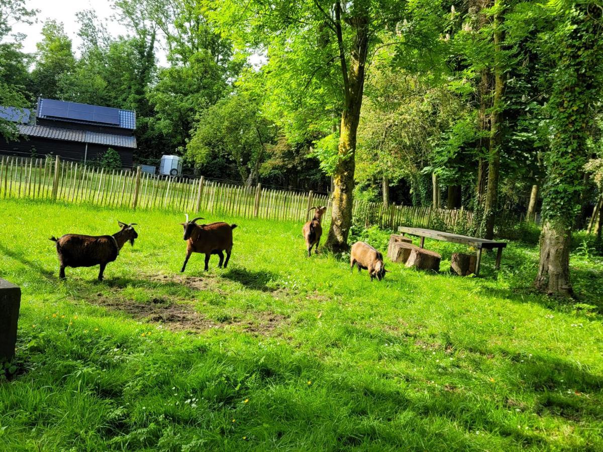 Pastorie Waaxens Bed & Breakfast Luaran gambar